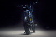 Squiggy Fat Tyre E-Bike Too Posh Artist Edition by Lucas Grogan